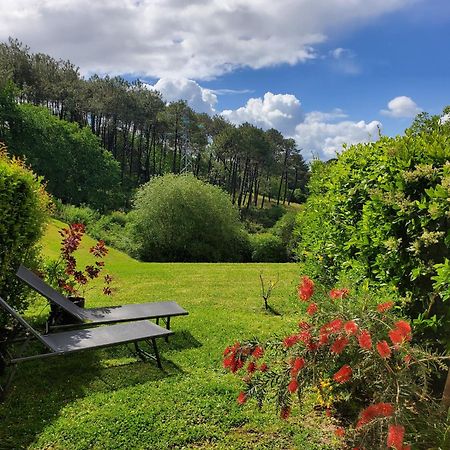 Appartement Calme Avec Jardin Bidart Biarritz Exterior foto